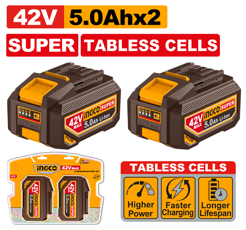 Ingco Lithium-Ion battery kit FBPM5028